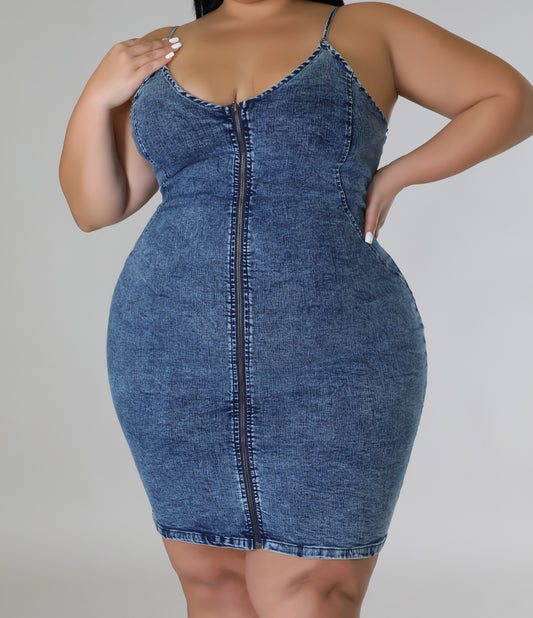 Zip me up denim dress