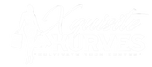 Xquisite kurves